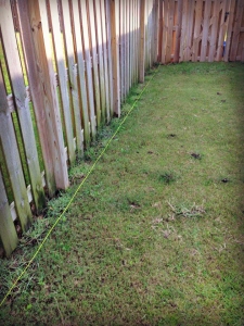 I was unaware that mysterious string appearing in one's meant that shade tolerant sod was in trouble. 